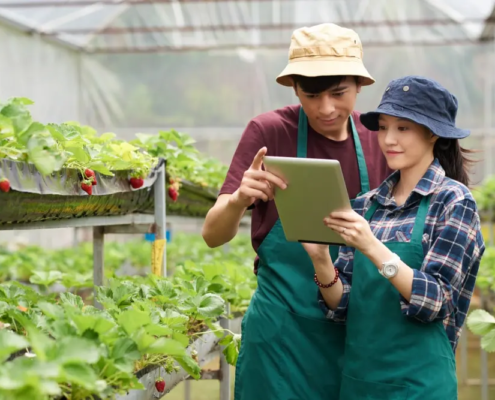 Agriculture Turing Certs Blockchain application