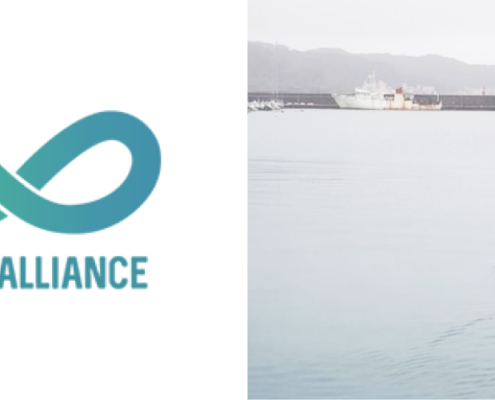 Azure Alliance-case